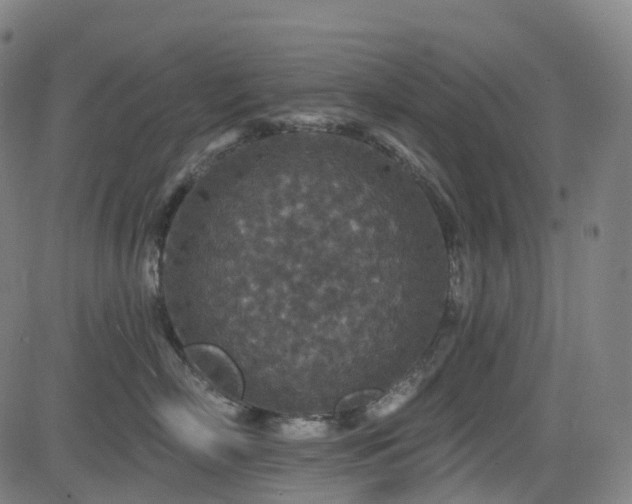 X0000085260718200703091324