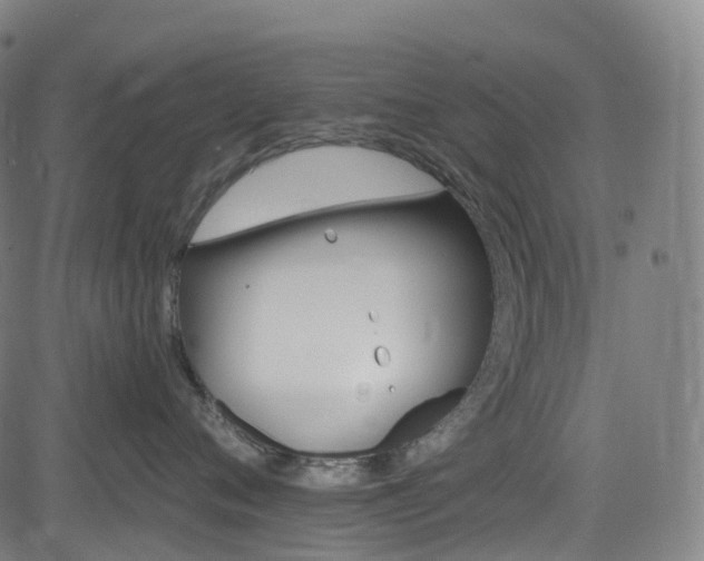 X0000085260720200703091323