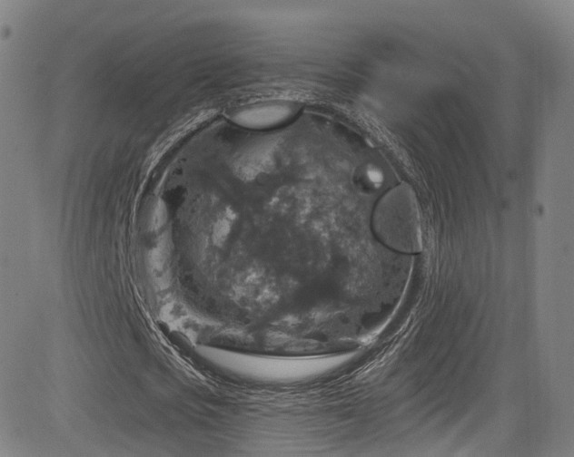 X0000085260721200703091323