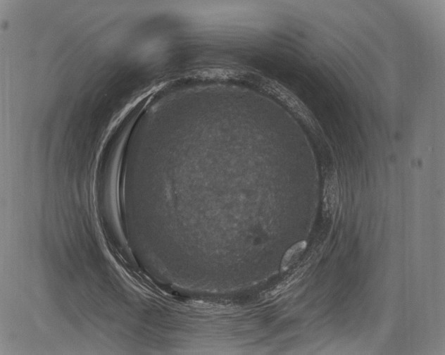 X0000085260722200703091323