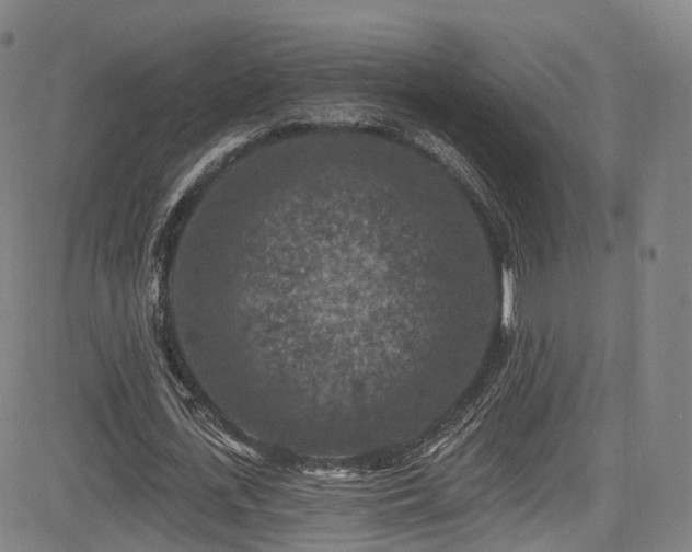 X0000085260723200703091323