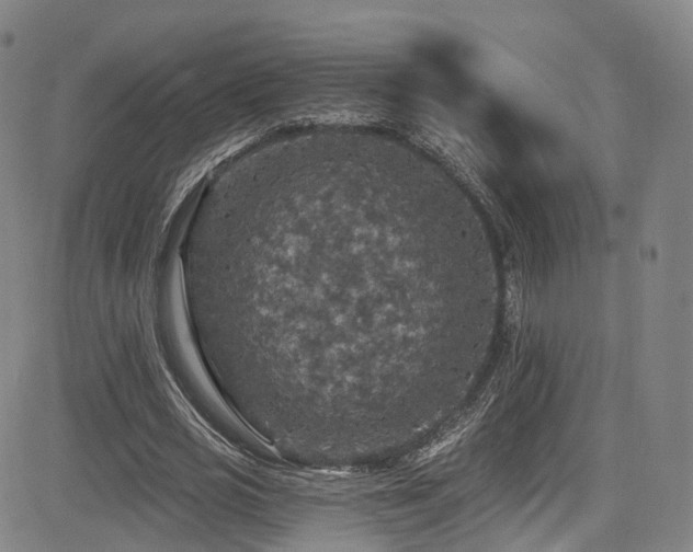 X0000085260725200703091323