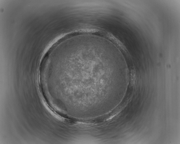 X0000085260726200703091323