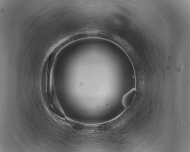 X0000085260728200703091323