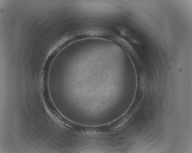 X0000085260730200703091323