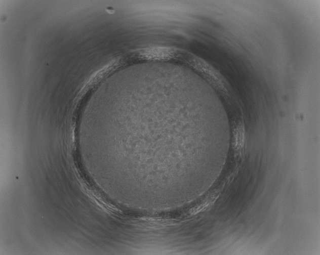 X0000085260733200703091323