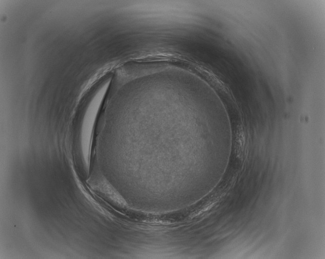 X0000085260734200703091323