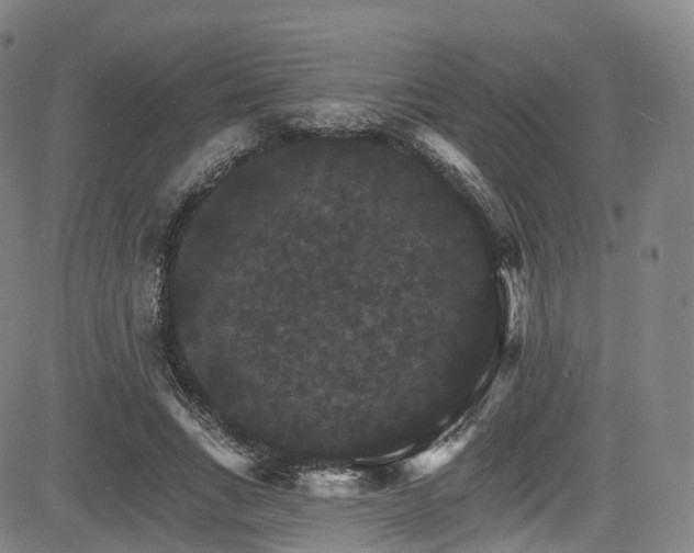 X0000085260735200703091323