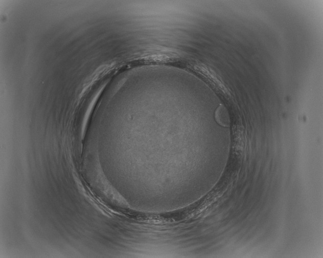 X0000085260738200703091323