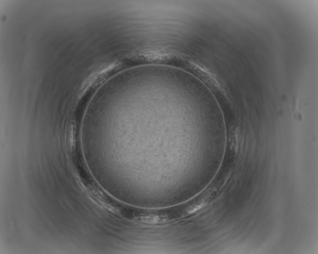 X0000085260740200703091323