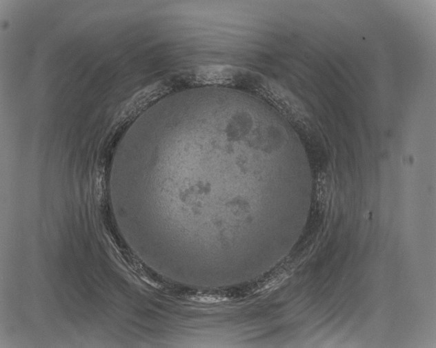 X0000085260741200703091323