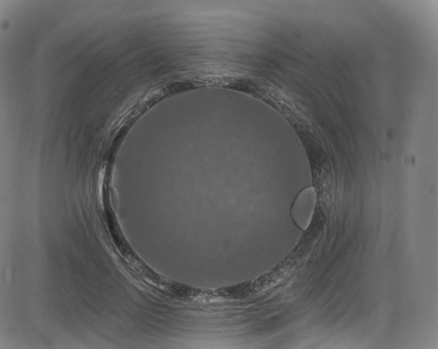 X0000085260742200703091323