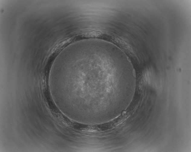 X0000085260743200703091323