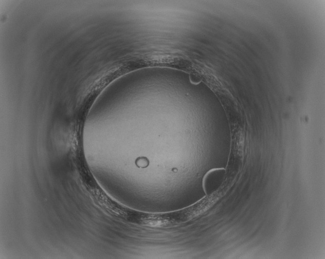 X0000085260746200703091323