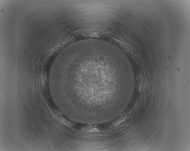 X0000085260747200703091323