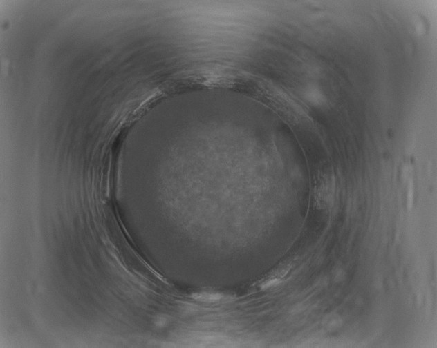 X0000085260748200703091323