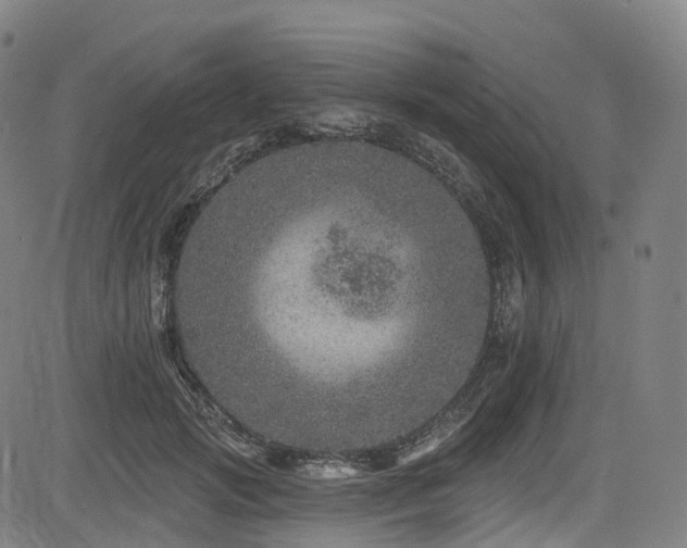 X0000085260749200703091323