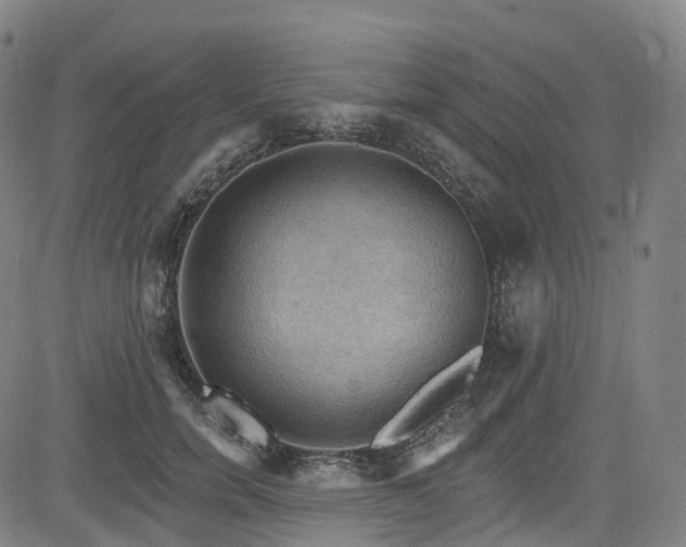 X0000085260750200703091323