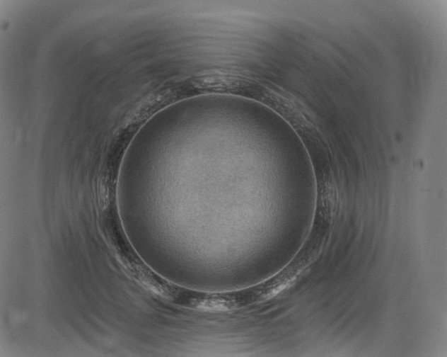 X0000085260751200703091323