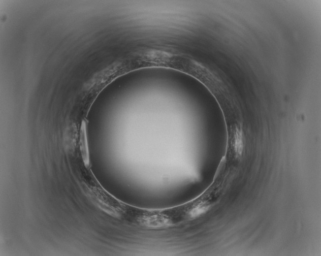 X0000085260752200703091323