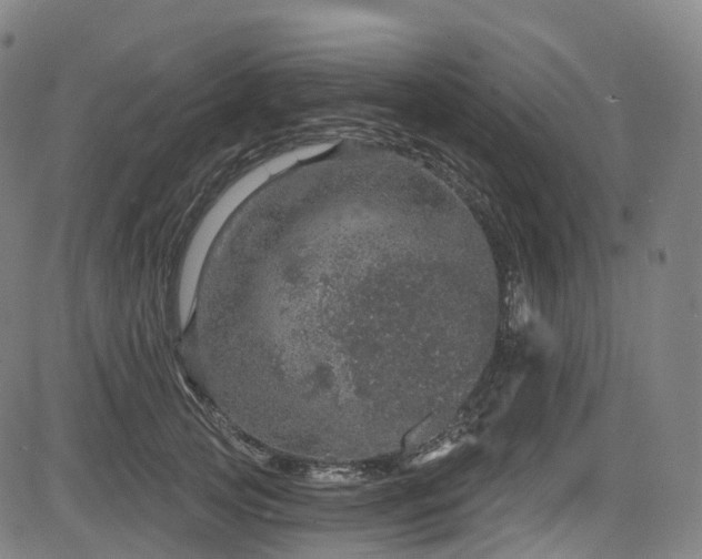 X0000085260753200703091323