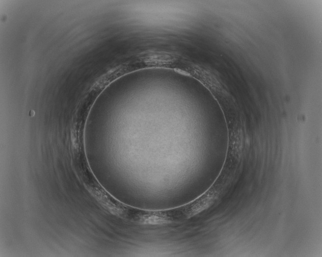 X0000085260755200703091323