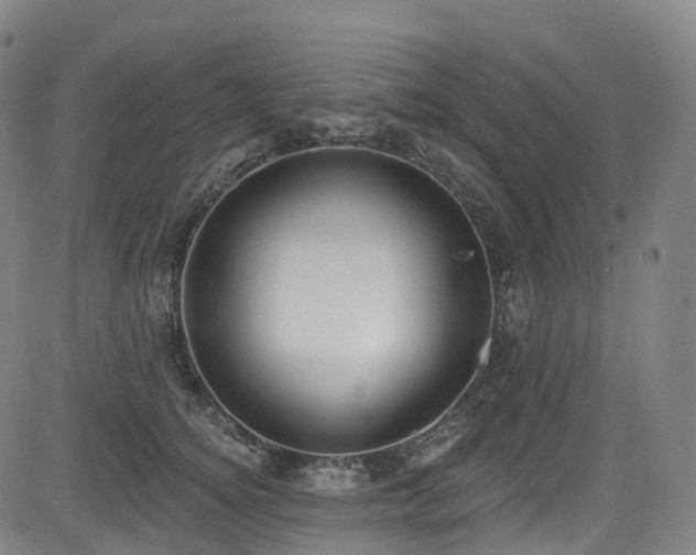 X0000085260756200703091323