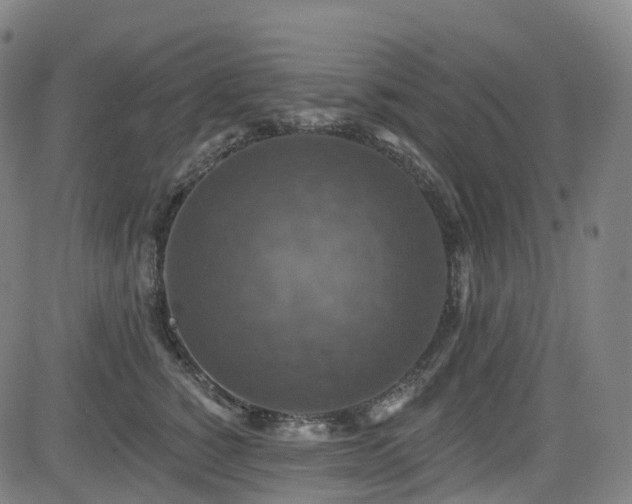 X0000085260760200703091323