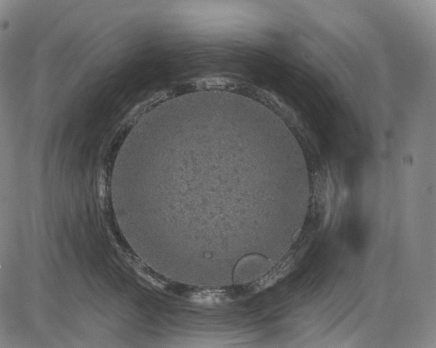 X0000085260761200703091323