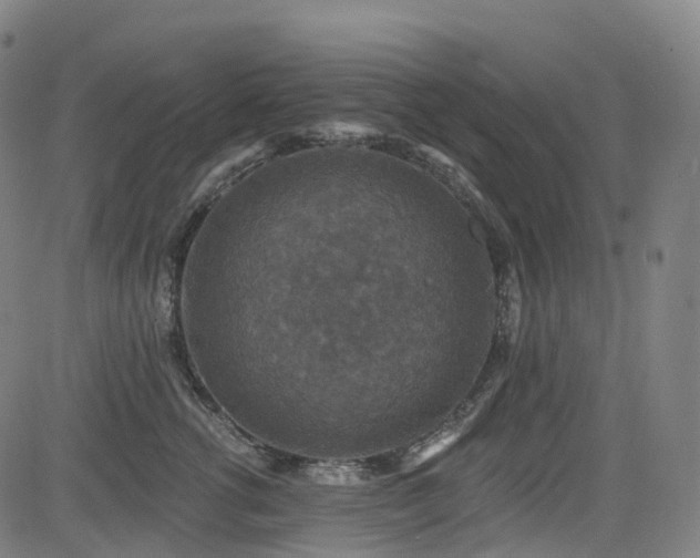 X0000085260762200703091323