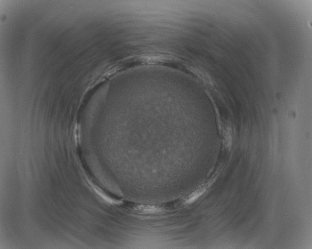 X0000085260766200703091323