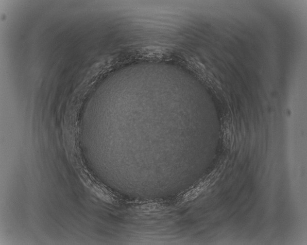 X0000085260769200703091323