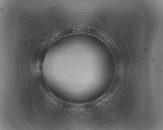 X0000085260770200703091323