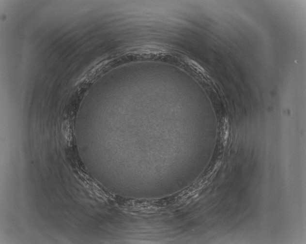 X0000085260774200703091323