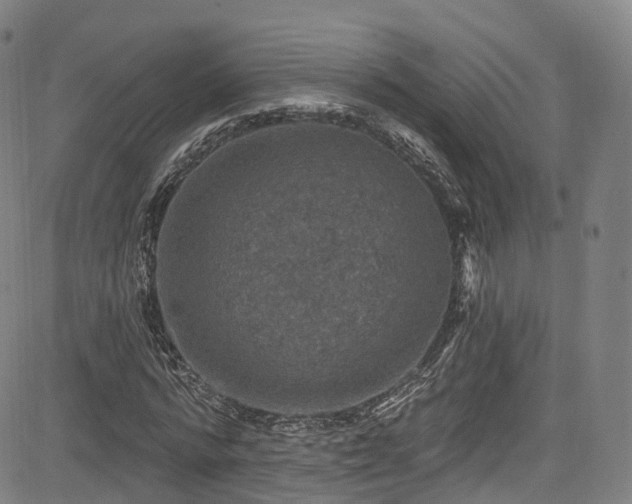 X0000085260776200703091323