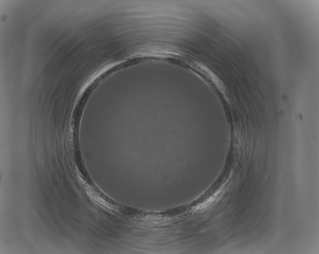 X0000085260779200703091322