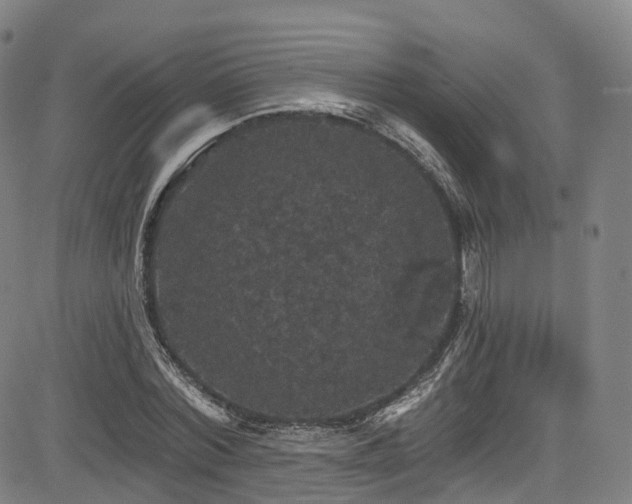 X0000085260780200703091322