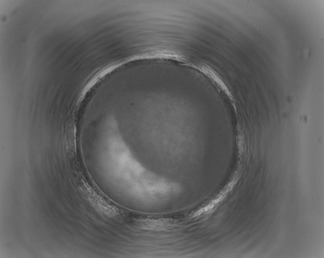 X0000085260781200703091322