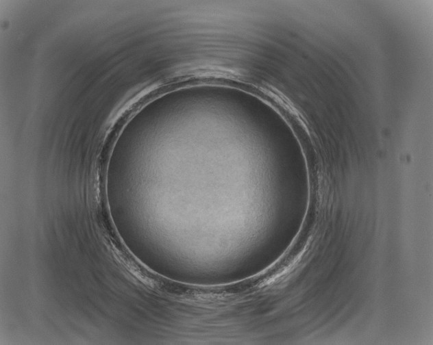 X0000085260782200703091322