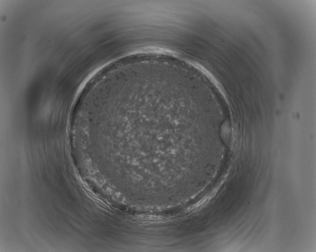 X0000085260783200703091322