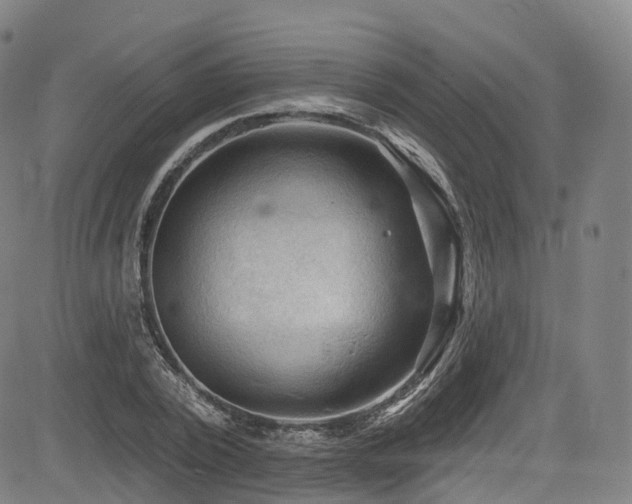 X0000085260784200703091322