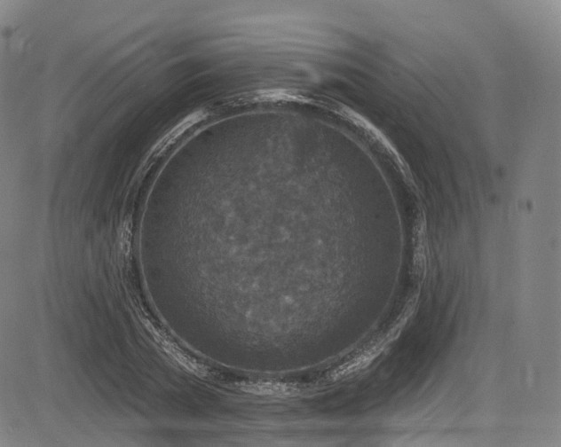 X0000085260785200703091322