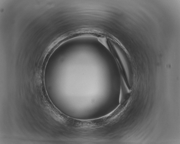 X0000085260786200703091322