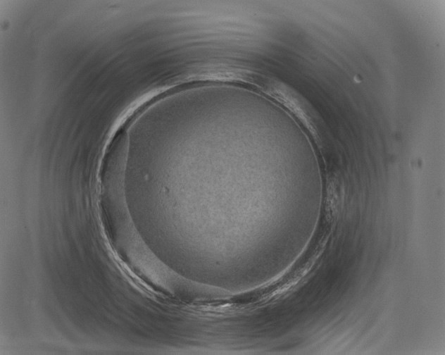 X0000085260787200703091322