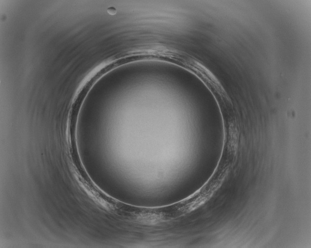 X0000085260788200703091322