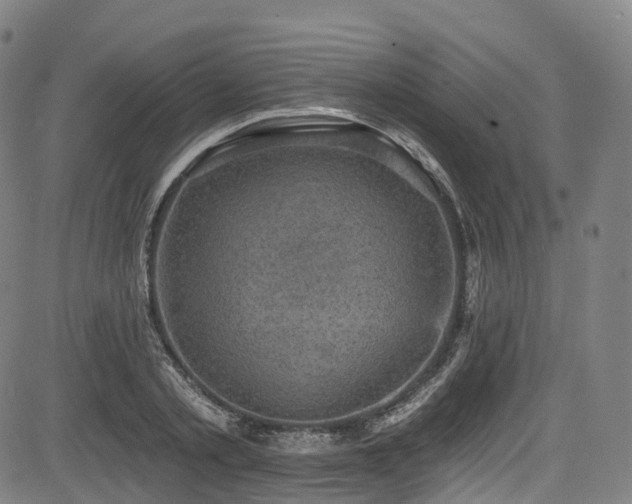 X0000085260789200703091322