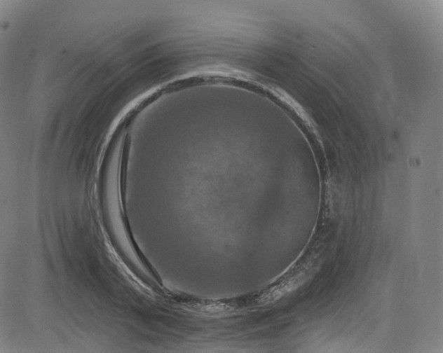 X0000085260791200703091322