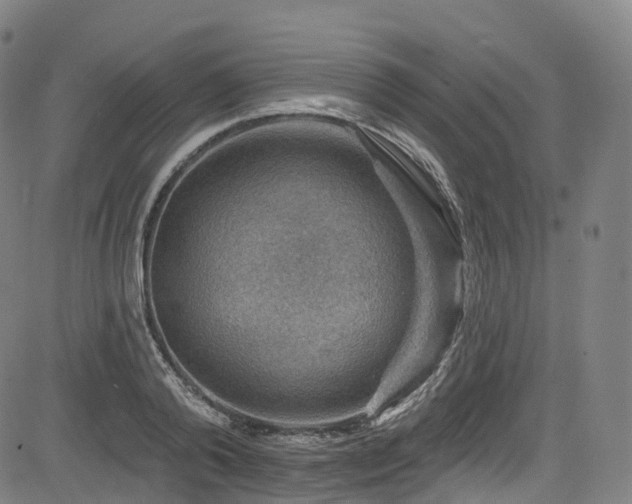 X0000085260792200703091322