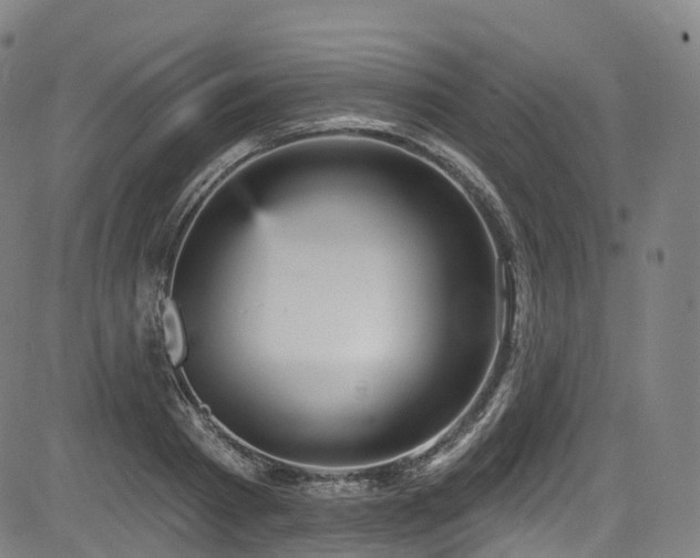 X0000085260793200703091322