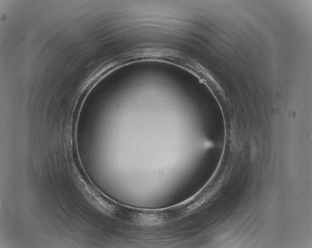 X0000085260794200703091322